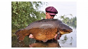 38K views · 604 reactions |  PICTURE PERFECT! The Embryo Angling ‘A...