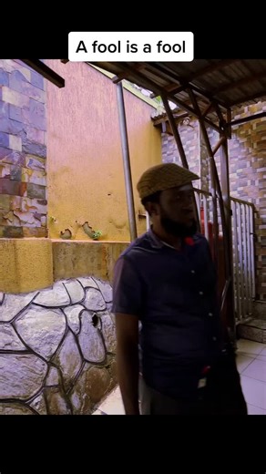 Hon.Reign Omusoyisoyi. on TikTok