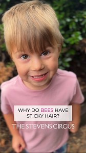 Can you BEE-lieve this joke? 🐝 #bee #jokes #dadjokes #animakjokes #preschooljokes #kidsarefunny #honeycombs #sopunny #familyfun | The Stevens Circus