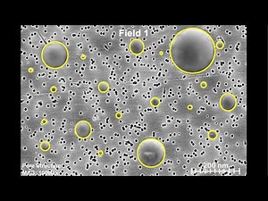 Hands-on Activity Demonstration: Particle Size from Microscopy Images