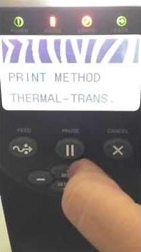 Error Zebra Ribbon Out