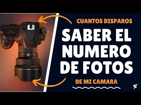 🥇 ¿Como Saber cuantos DISPAROS tiene mi camara? | SUPER FACIL!!