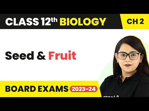 Class 12 Biology Chapter 2 | Seed & Fruit- Sexual Reproduction in Flowering Plants CBSE/NEET 2022-23