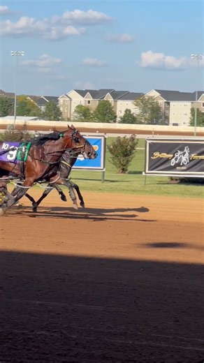 Brandon Blvd pulls off the upset at 10-1 against Frantic Hanover in the 2YO International Stallion! #HarnessRacing #ustrotting | United States Trotting Association