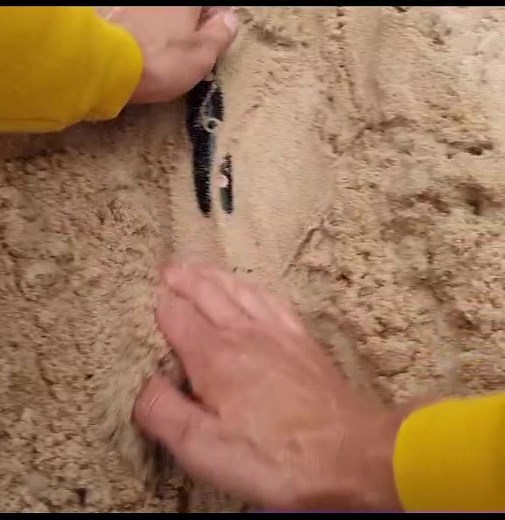 Metal Detecting Adventure: What Did I Unearth?