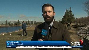 Must watch video! If this whole news anchoring thing doesn't work out, our Kent Morrison might have a future in golf reporting! | Global Edmonton