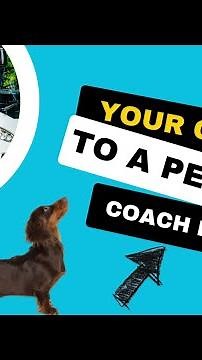 🚌 Coach Holiday Expert: Your Guide to the Perfect Coach Holiday Trip