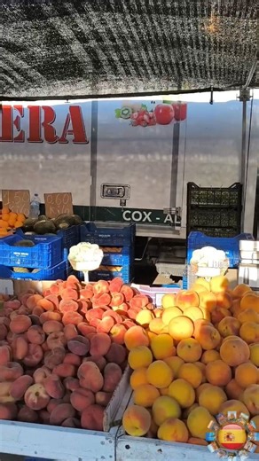 34K views · 498 reactions |  Friday street market in Torrevieja / Mercadillo de los viernes en Torrevieja  #travel #travelvlog #walk #spain #myspain #torrevieja #market #mercado #streetmarket #mercadillo #turismo #tourism #miespaña #españa | Channel "My Spain" - Travels in Spain and beyond for the Whole Family | Facebook