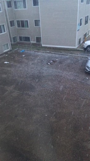 Don’t mind the Edmonton view💀🤣 #yeg #foryoupage #viral #firstsnowfall #2025