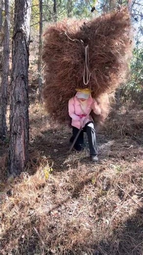 Heaven's Hand in My Fate: A Journey of Faith & Destiny