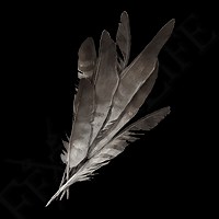 Flight Pinion | Elden Ring Wiki