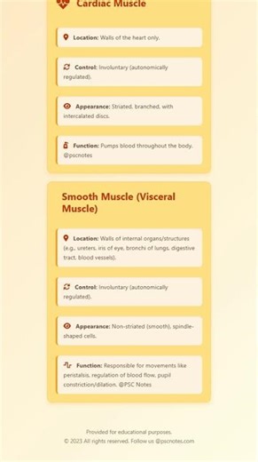Types of Muscle Tissue: Skeletal, Cardiac, and Smooth