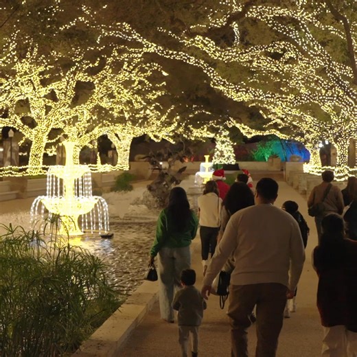 Rediscover your sense of wonder in an evening of dazzling lights at TXU Energy presents Zoo Lights. | Houston Zoo