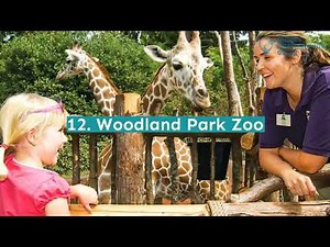 27 Fun Things to Do in Seattle with Kids