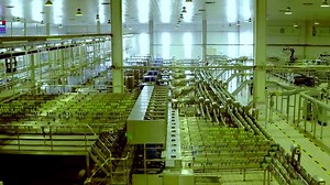 7.8K views · 33 reactions | #thinkfood666 #regional #dassystemmilch...