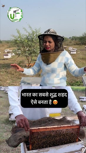 8.8K views · 69 reactions | India’s Purest Honey Making Process By Farmer Bee Farming | Unique Farming | Facebook
