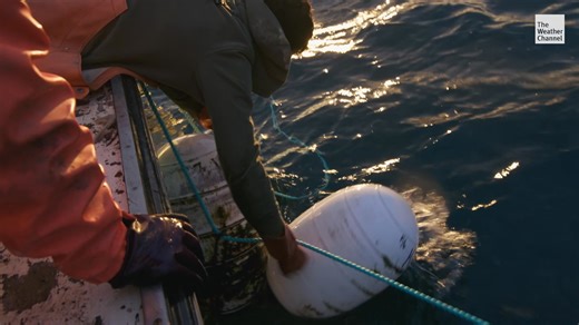 Will this problem derail the whole season? Tune in this Sunday at 8/7c on The Weather Channel to find out on the next intense episode of Claw Hunters! | The Weather Channel Originals
