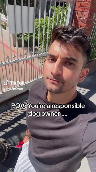 Understanding Responsible Dog Ownership