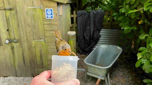 48K views · 2.1K reactions | Brunch with Bobs | Villager Jim | Facebook