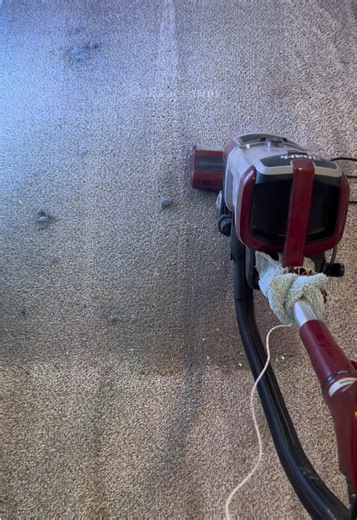 Ultimate Fine Dirt Shark Clean-Up ASMR Experience