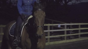 1.2K views | Need more light at night?  Solar Technology Arena 2K Lights are the perfect solution to illuminate your outdoor or indoor school. This all-in-one solar light delivers an impressive 2000 lumens for up to four hours everyday! ⏰ A cost effective and easier option to any hardwire lighting! Shop: https://buff.ly/3EUmnkg | Clippersharp | Facebook