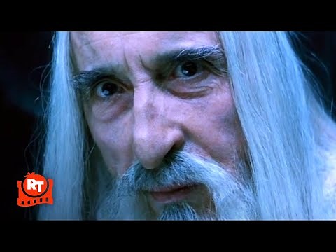 Lord of the Rings: The Fellowship of the Ring (2001) - Gandalf vs. Saruman Scene | Movieclips