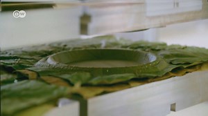 DW Environment on Reels