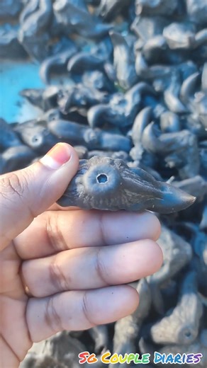 Chest Nuts(Eleocharis Dulcis)