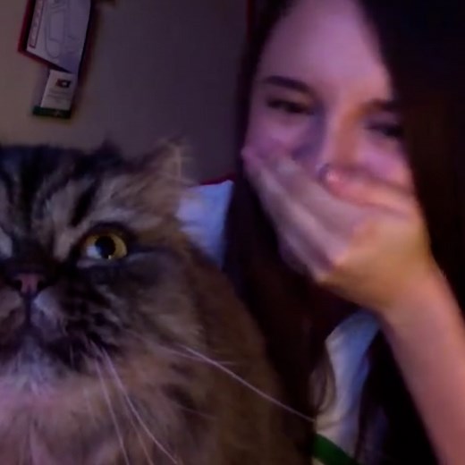 7.6M views · 664K reactions | He really stole the show  | LADbible | Facebook