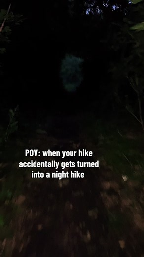 POV: Hike Turns Into Night Hike – What to Do in the Forest