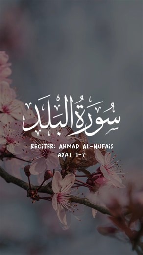 Surah Al-Balad Full | Beautiful Voice Recitation for Peace & Relaxation #ytshorts #quranrecitation