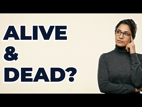 What Is The Reality Of Schrödinger's Cat Paradox?