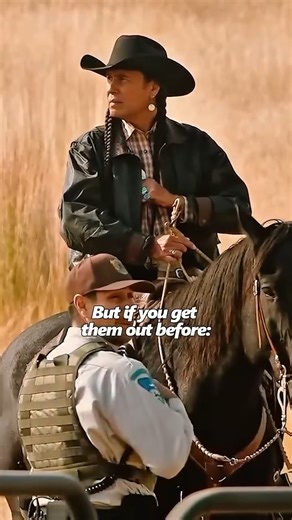 270K views · 1.6K reactions | Rancher's Horse Taken for a Wild Horse | Gravity Bike Sur-Bogota | Facebook