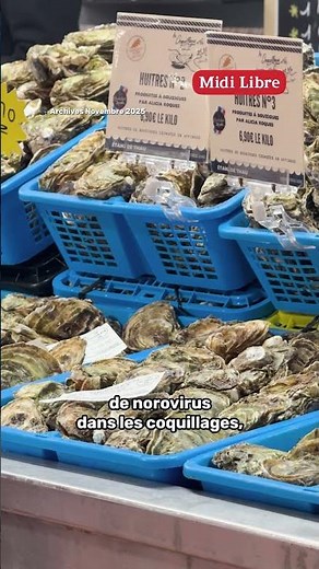 🦪 Les huîtres et les moules de l’Étang de Thau font leur grand retour !