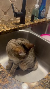 Searching for beans. | Cubby and Friends