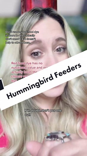 Hummingbird Feeder Safety Tips for Clean Bird Feeders