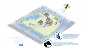 Covering The Invisible Fence Cost