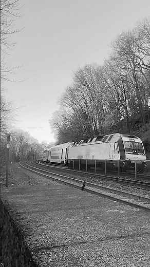 Disappearing Around Ho-Ho-Kus Curve! New Jersey Transit’s Main & Bergen Line!
