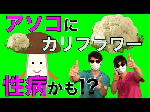 【性病】アソコにカリフラワー状のイボが!!尖圭コンジローマってなんだろう??【皮膚科医が解説】