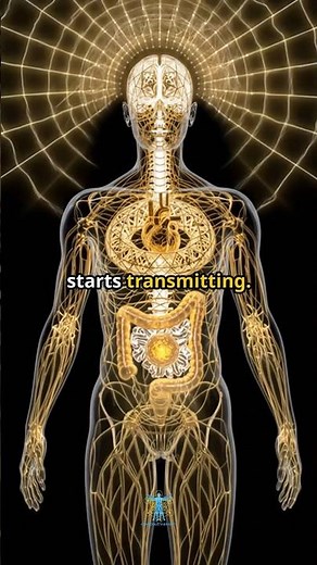 Your Body Is Hiding a Forbidden Circuit (Heart–Brain Coherence Explained)