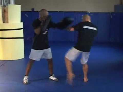 George Saint Pierre MMA Instructional Vol 1 Part 1