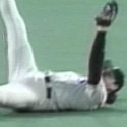 Walker's sliding catch