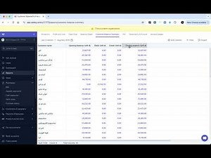 Wafeq Product Update: Customer Balance Summary Report Overview 📊