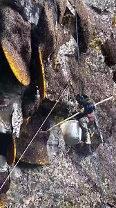 #AmaZing Beekeeper Fresh Honeybee 🐝 . #honeymoon #honey #honeybee #honeymoontour #honeycomb #honeyme #honeymooners #HoneyBees #HoneymoonTrip #honeybum #honeycinnamon #honeybirdette #HoneyBabies #honeydew #honeyblonde #honeybadger #honeymooning #honeysuckle #honeysingh #HoneyMustard #bee #HoneySuspension #HONEYWELL #honeymoonpackage #honeycrisp #honeymoondestination #HoneyLove #honeys #honeymoons #honeymihoney #honeystinger #honeybees #reels #reelsfb #reelsviral #reelsvideo #reels2023 #fbreels #