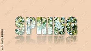 The inscription SPRING of plant elements on a colorful background. Graphic concept for the names of spring months. Animation. Background with flowers,
