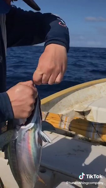 Tuna Fishing Co. on TikTok