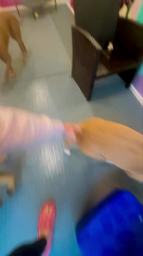 💘 🐾 🐶 🐾 💘 | Nicole's Natural Dog Training