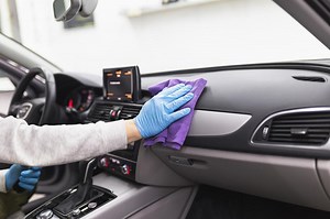 Easy Car Mold Removal: 8 Steps to a Fresher Ride | LoveToKnow