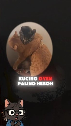 kucing oyen ini pelukan mungkin karena sedang hari lebaran #shorts
