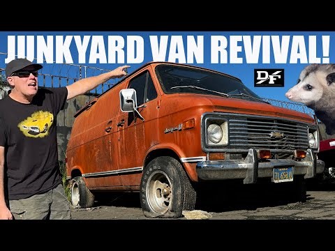 WILL IT RUN? Fighting Ants, Moss, a Possum, and Shag in My Junkyard Van